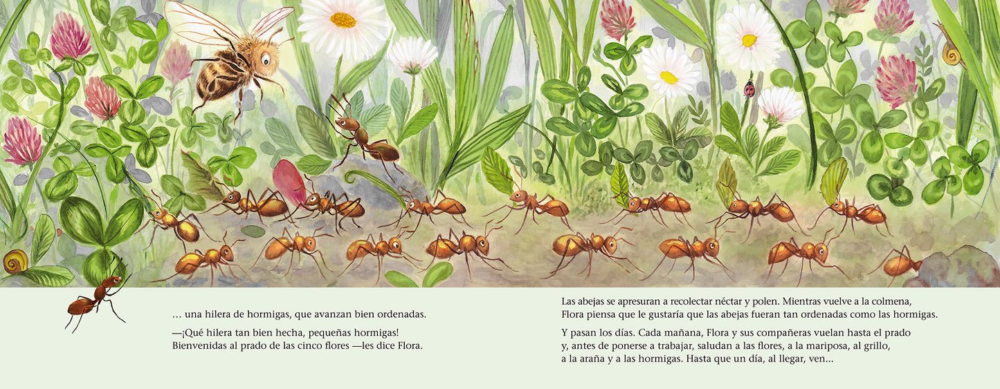 La abeja flora, el prado de las cinco flores