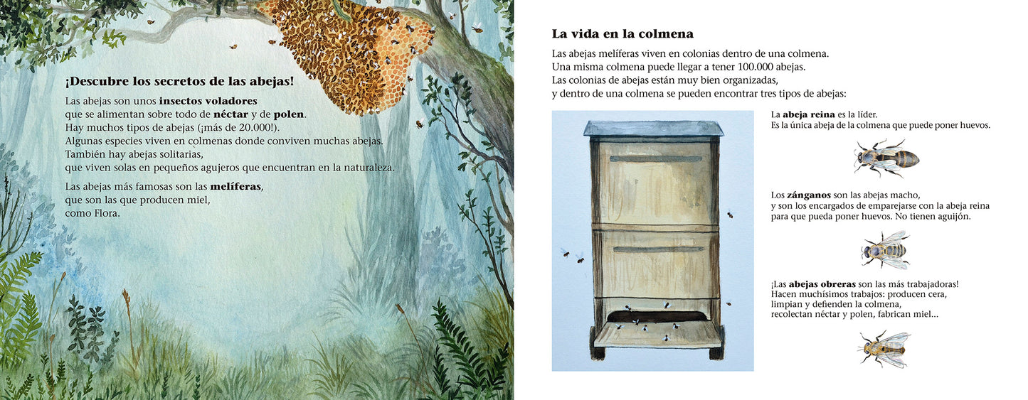 La abeja flora, el prado de las cinco flores