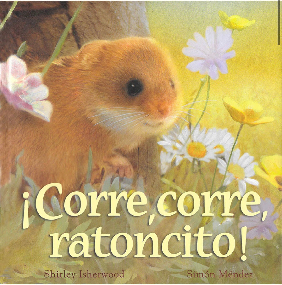 Corre,corre, ratoncito!