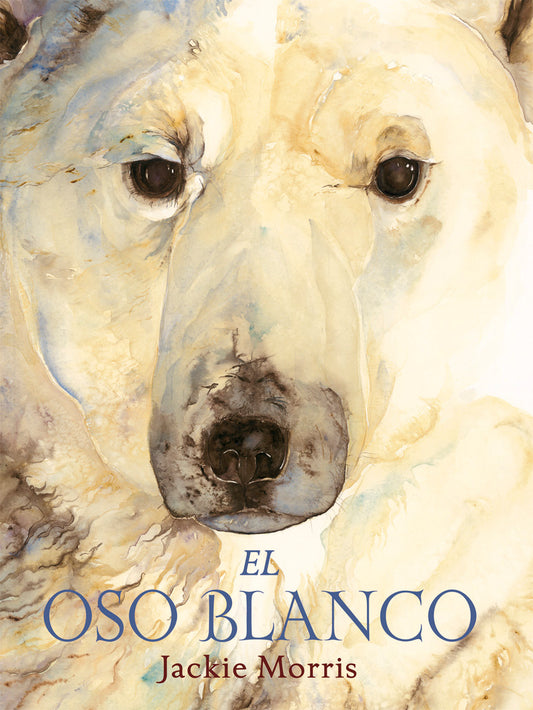 El oso blanco